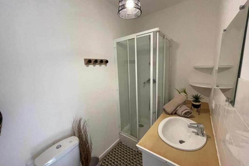 Le Sano - Centre Historique, 2Mn A Pied Halles De Niort, Donjon, Moulin Du Roc, Et Port Boinot - Wifi, Netflix ,2Mn Hyper Centre מראה חיצוני תמונה